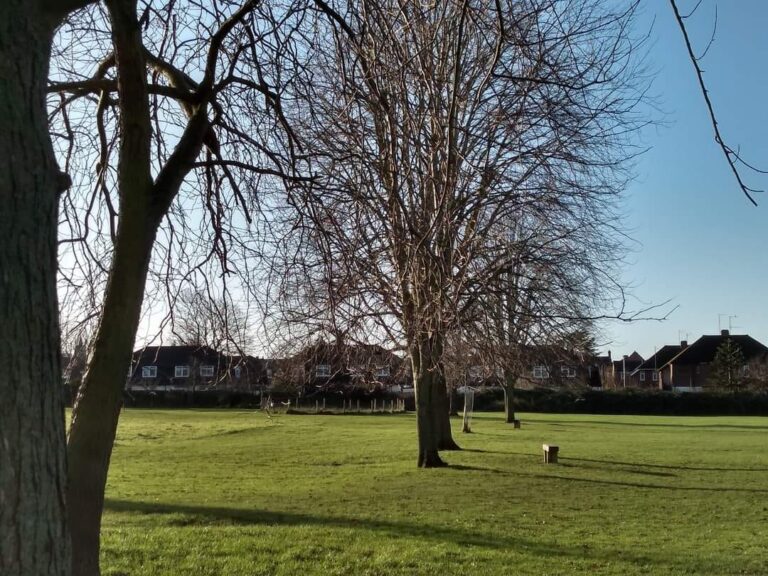 Photograph of Elmfield Park in Cheltenham. 